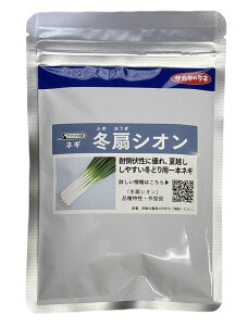 y\:12{ח\z~VI@1dl@˂@q