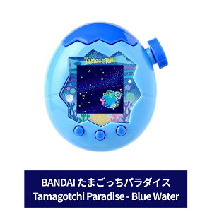���i�摜
