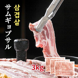 ؍ē15lO / TMvT3kg BBQ ē ؃oXCX@
