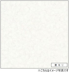 アイカ キッチンパネル セラール FAN1966ZMN 壁面用 鏡面仕上げ 1枚入り ●3×9サイズ(935mm×2755mm×3mm)