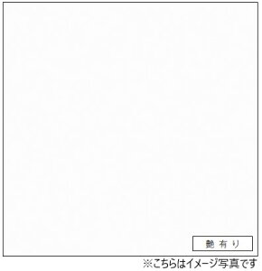 ACJ Lb`pl Z[ FKM6000ZMN ǖʗp ʎdグ 3×6TCY(935×1855×3mm)y2ȏゲꍇ1Płz