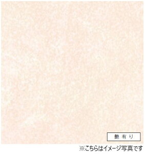 ACJ Lb`pl Z[ oX[p FYA1964ZMN ʎdグ3×8TCY(935×2455×3mm)y2ȏゲꍇ1Płz