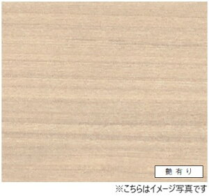 ACJ Lb`pl Z[ oX[pFYB2606ZMN 3×8TCY(935×2455×3mm)y2ȏゲꍇ1Płz