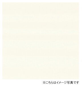 ACJ Lb`pl Z[ oX[pFYJ6200ZYN19 炬dグ 3×8TCY(935×2455×3mm) y2ȏゲꍇ1Płz