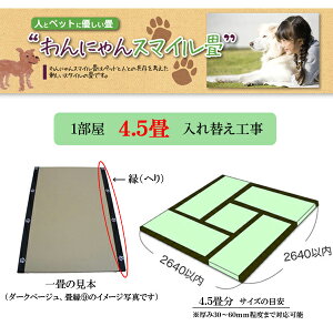 yybgpzɂX}C􁜉(w)t4.5֍H(×4@×1)