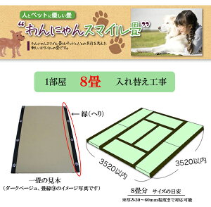 yybgpzɂX}C􁜉(w)t8֍H(×8)