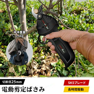 doT~ d΂ d ΂ oT~  [d΂ }؂΂ ؒfa25mm SK5u[h ؂ꖡǂ 2000mAhobe[ osv USB[d R[hX y 