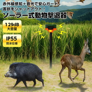 \[[ ԊO ZT[ ފ QbZT[ ZT[ A[ ԊOQb쏜 \[[[d 129dB剹 IP55h 360°L͈ 5-8mm Qb 쏜ObY Qb΍  Qb