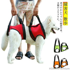 yz^ ^ o nr Q v xg s⏕ p n[lX 둫 U  O s⏕ pn[lX