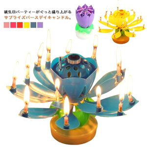 a yt 2Zbg 邭 o[XfCLh Lh TvCYLh ԕق邭 @̉ fB p[eB[ q  v[g j