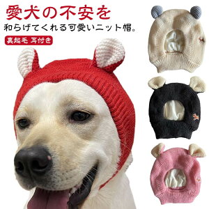 p jbgLbv  Xq  jbgX L  h t N 􂦂 ^ ^ 蕨 g  U ~ o ybg Xq uh[ S[fgo[