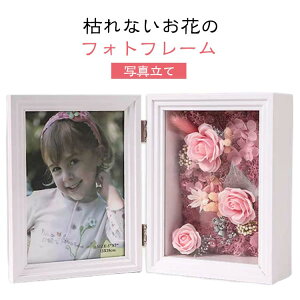 tHgX^h ސEj t[tHgt[  ̓ Ȃ җj ʐ^ \[vt[ ʐ^ av[g  Êj j 蕨 t[{bNX 