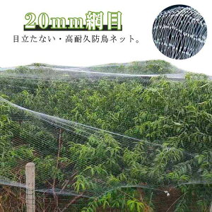 iC hlbg hlbg ؉悯 2×30m 3×20m   ǔLNh~ JX h LEh~ x_  ʎ悯 c ϋv _앨  ʎ S~