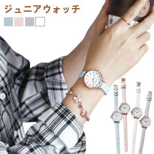 w q rv wN LbYEHb` lC X|[c qǂ qprv v wN LbY LbYrv LbYJVI j̎q ̎q w LbYEHb` 킢  Cw