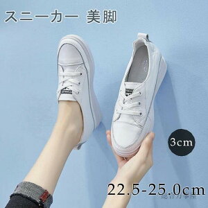 Xj[J[ C\[ Cq[ ₷ C V[Y Xj[J[ 22.5cm 22.0cm 23.5cm  {v 25.0cm fB[X [XAbv Xj[J[ Xj[J[ Cq[   fB[XXj[