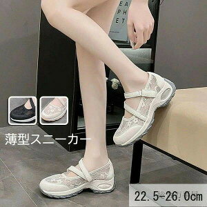 [X  x[W ubN bV}C ig zCg 傫TCY U ʋC ʋ }}t@bV