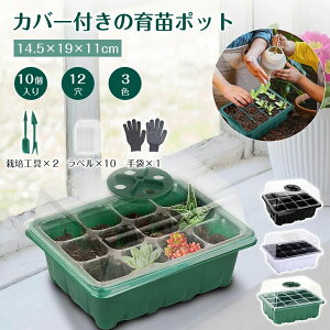 cgC cZbg 琬 ƒ؉ O[ c{bNX ܂nEX A A͔| c  |  c|bg ܂ ubN Aؔ 12 qgC ܂|bg c 