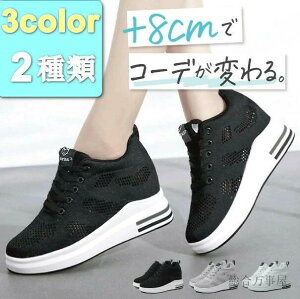 C\[Xj[J[ ꂢ  V[NbgV[Y _bhXj 26.5cm ʊw C ₷ IVXj[J[ 8cm nCJbg Xj[J[ Xj[J[   y H~ f