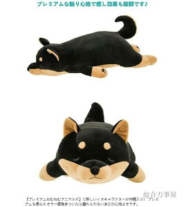 LTCY ˂ނ˂ ܂L ẴRec ʂ  ܂ Ό Č  Ԃ͂ 