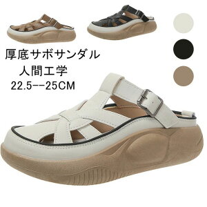 fB[X t Xb| yʐ݌v  lԍHw r Xj[J[ ʋC T_ gAbv5cm JWAV[Y T{T_AT{T_ EH[LOV