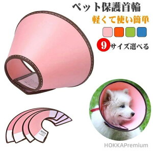 A1-A9TCY ی GUxXJ[ Lp GUxX \tg yGUxXJ[ ybgی wbhMA