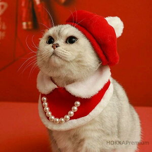 Ղ ybg  v[g bh L  ڂ ؚ ꂢ Mtg ^ Lp  p Be L EGA lC ybg ݊ NNn 킢  ^  ^