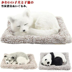 C EL LY L 킢 |Y ԓ  p_ L Ɨp  {݂̓ ԗp u z͋