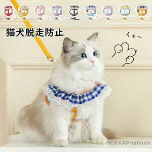 Lp ybg[h y \tg ȒPE TCY߉\ n[lX Lp ^ o [hZbg Iׂ9F ybg Ȃ ʋCbVU 