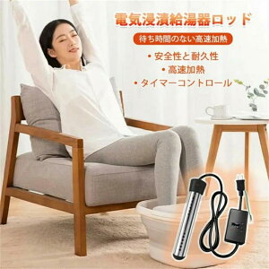 |[^uoPbg 1500W xv oPcq[^[ Ct[^uv[ ^C}[ dC nv[ C}[Wq[^[ dCZЋ탍bh110V ݃q[^[ pCvq[^