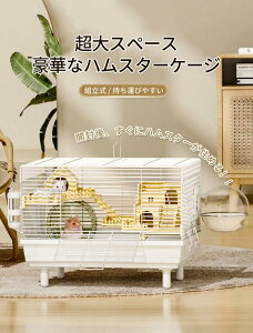 lXȃX^C̑gݍ킹p\ GRȃAN g ^т₷ |₷  nX^[P[W L ʋCς