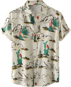 AnVc  􉽊w͗l ʋC Vc Vc  20 Y   30 JWA An ԕ Y ĕ 䟭 傫TCY r[`Vc Vc nC