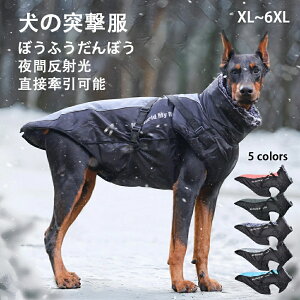  H~ {A I ː X H  ԊOo ~ Ȃ ^ g AE^[ ˌ ̎q  h j̎q WPbg n[lXt _E h wJ ^ ~p wJ 