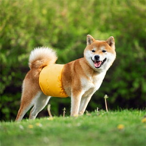 2Zbg ~ ybg H  t ނJo[ }i[xg pi  L o IcJo[  Tj^[pc }[LOh~ Obc }i[pc ppc