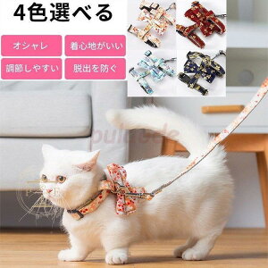  [v Eh~ y S L[h \ ͗l [ht EȒP n[lX Up v Lp h~ ^ a 