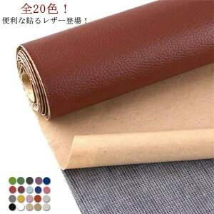  CV[g C tFCNU[ ڒV[ n nhCh Xgb` v ֎q Ƌ S^Cv v Jbg\ \t@[ 50cm×137cm S20F 琶n L  ԃV[g | 