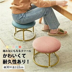  Xc[ q  [e[up ֎q Ⴂ tbgXg LbY  LbY`FA qǂ  ~jXc[ 킢 `FA Ibg} u  22cm ~j֎q | q