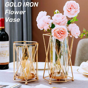 ~  Ԋ _ hCt[  ACA Vv KXԕr KX t[x[X S[h k 킢 􉽊wfUC CeA y ԕr  KXr