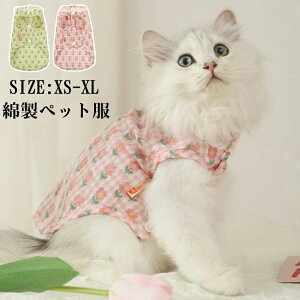 �L�p ��100�� �y�b�g�p�L���~�\�[�� �^���N�g�b�v �m�� �y�b�g�� �ăy�b�g�� �ĕ� ���킢�� �����x�X�g �ԕ��x�X�g ������ ���� �L�� �x�X�g