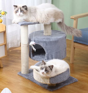 ]|h~ Ƌ  Vv  L   55*50*3 ˂ ܌ qL B Lp L^[ [ Lbg^[ ߂Ƃ LnEX ȃXy[X  nEX Lp ܂Ƃ u^ X