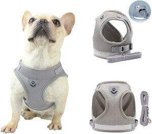 ���p ���ˑf�ޕt�� ���b�V�� �Z�b�g ���� �����Ȃ� ���S ���^�� �n�[�l�X �L �y�b�g ���߉\ ���[�h �y�� �����^�� �ʋC�����ǂ� �q�� �U���E�P���E���o����