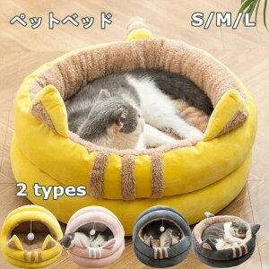 ���L���p ���������� �� �N�b�V�����O���\ �h�[���^ �L�̃x�b�h �L�n�E�X �y�b�g���� �y�b�g�n�E�X �ۉ��h�� �ӂ�ӂ� �H�~�p �y�b�g�\�t�@ �V�� ���A ���̃x�b�h �{�[���t�� ���� ���L