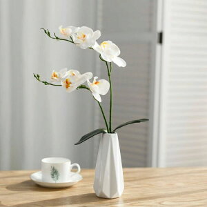 Ӓ RpNg ~jTCY v[g e[uTCY  G} STCY ̓ { A[gt[  hV̓ ̓ sN J@j  j JX 2{ 