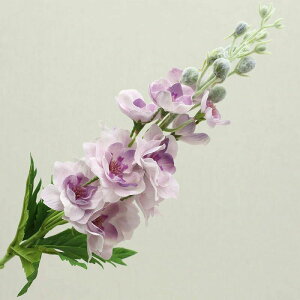 CeA VNt[ A  tFCNt[ ftBjE AW ԑ ֑}  CG[ u[P   sN 2_Zbg CeA zCg _[Nbh 