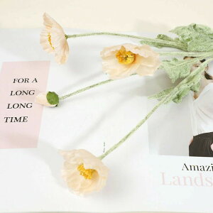 CeA  41{ u[P   tFCNt[  sN { _ ֑} A CeA VNt[ AW zCg ԑ  _[Nbh qiQ