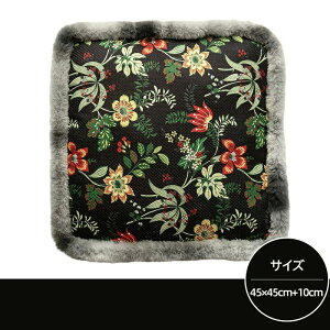 NbV ԕ ʋC XNGA^Cv ֎q ᔽ  ֎qp NNbV \t@  Sn ~  zcJo[ tA zc