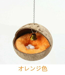   g IE JiA P[Wpo[hnEX Q IJCR XnEX nX^[ nEX lXgpRbgEH[}bg CR IȆ  RRibc