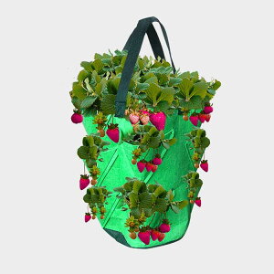 A琬 ؍͔|  ؍͔| A A ƒ؉ A琬 z A͔|obO|bg tFg A  y Aؔ  sDz 2Zbg ʋC ͔| | 10|Pbg