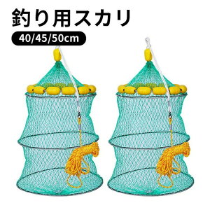 ނ tBbVO ނ ނ   rN tBbVK v یlbg bV AEghA Ԃ ܂ ݂艺