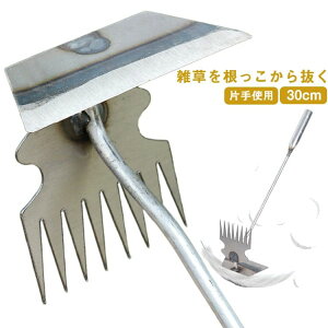 G荪30cmЎgpF菜ƃXRbvK[fjO|pi|pyVx蓮K[fc[ƒ؉Ő_