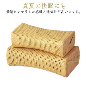 Ђ薍ėp܂yʋCQ܂疍QȂvi`^ٖQdObYČhV̓d߂̖XgX̓̓Mtgv[